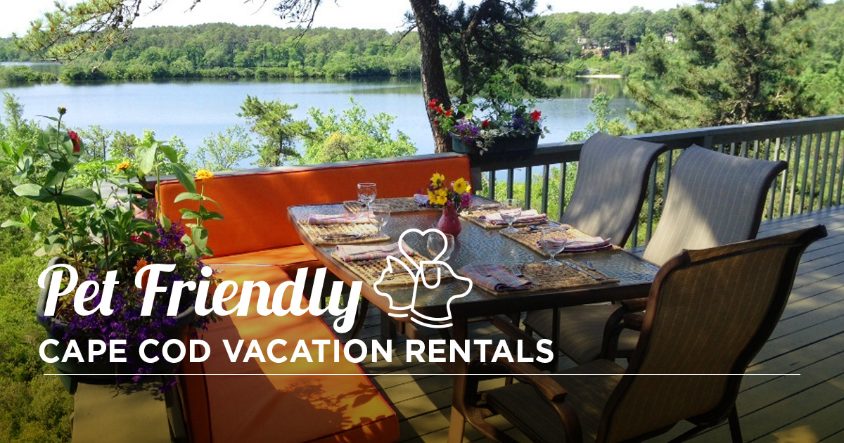 PetFriendly Cape Cod Vacation Rentals Robert Paul Properties
