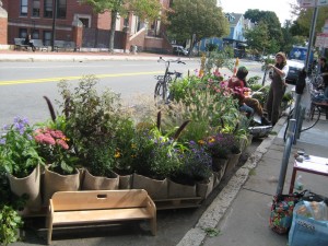 Cambridge PARK(ing) Day, Third Friday in September