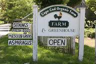 Cape Cod Organic Farm