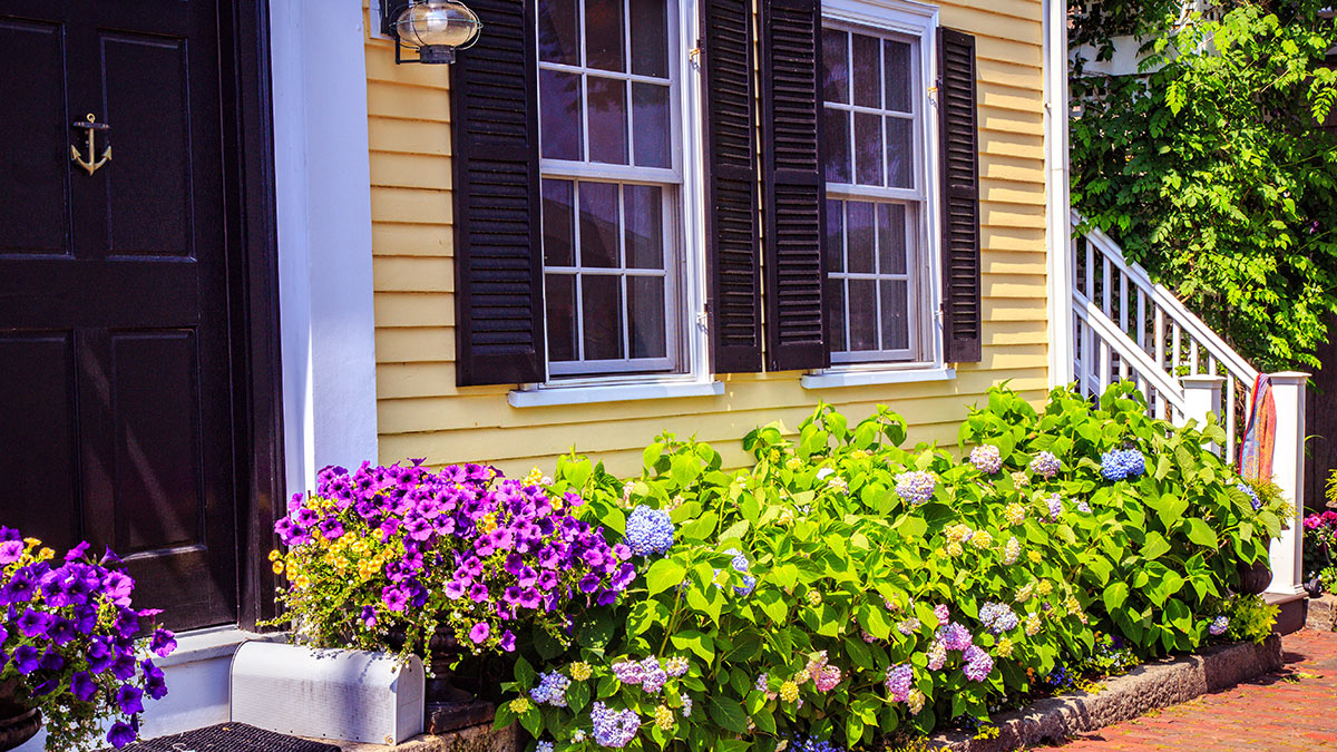Welcoming front entrance with black shutters, hydrangeas and a brick walkway