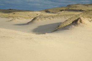Cape Cod staycation
