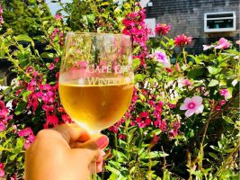 Cape COd staycation
