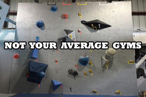 Not Your Average Gyms