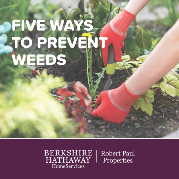 prevent weeds