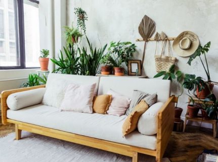 Example of Biophilic Interior Design
