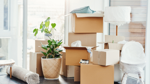 Moving boxes and supplies