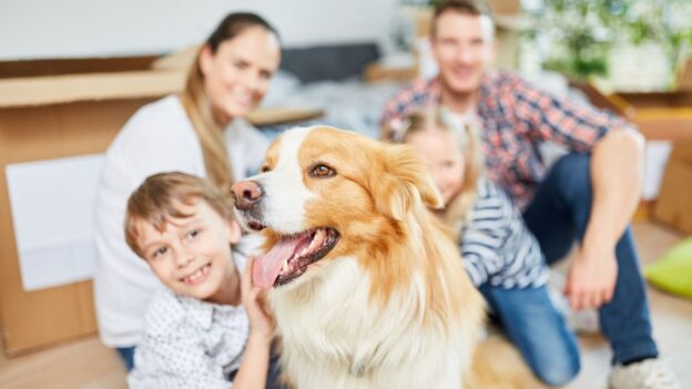 family posing with their dog with moving boxes around them