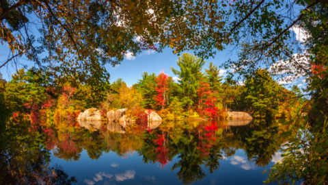 Fall in Eastern Massachusetts