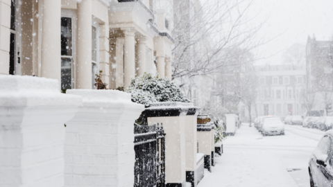 Snow day at home in Boston