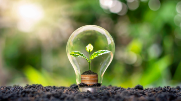 energy efficient home concept with light bulb and plant