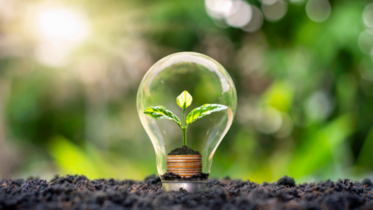 energy efficient home concept with light bulb and plant