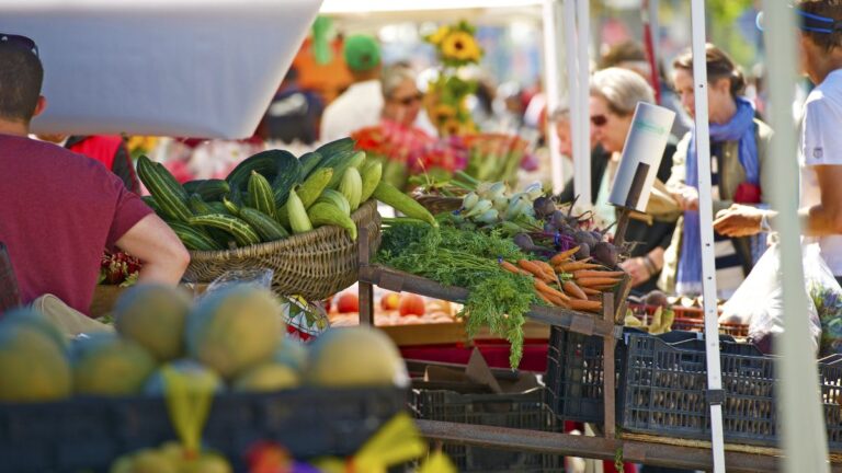 Local Farmers Market and Farm Stand, South Coast MA