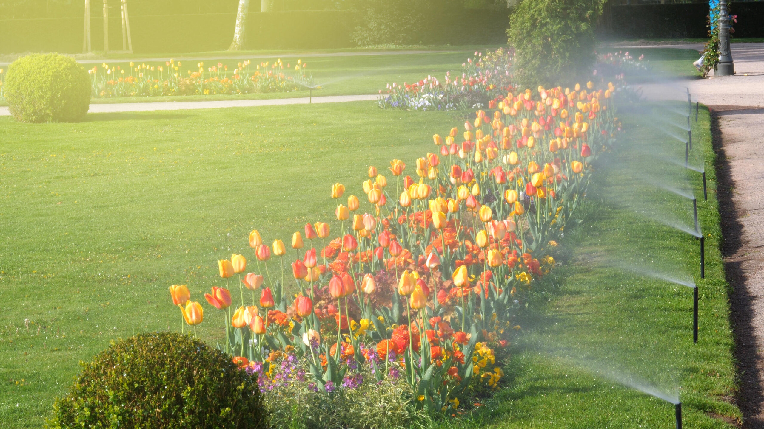 Watering Your Outdoor Spaces