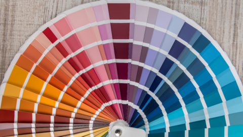 Home Paint Color Palette