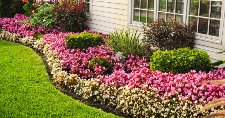 professional landscaping with flowers and mulch
