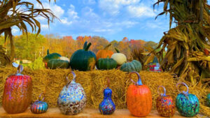 Colorful Fall Pumpkin Display