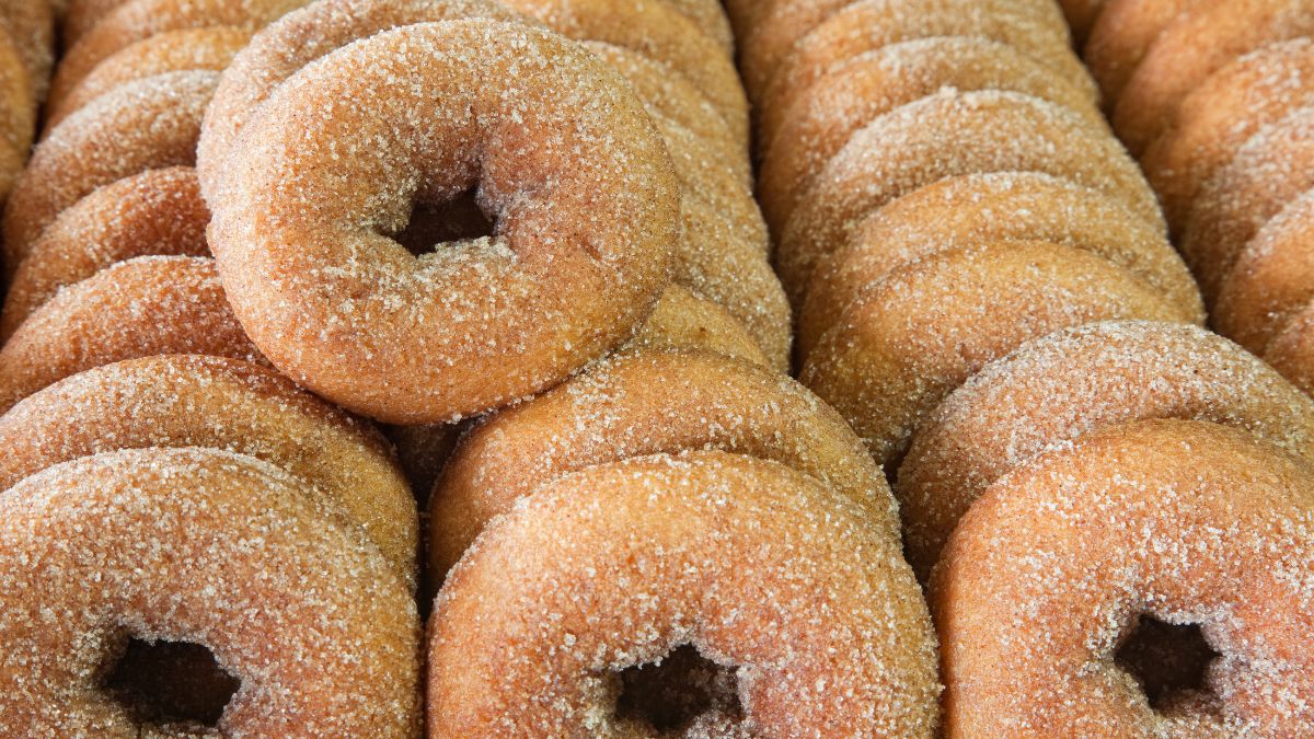 Cinnamon-sugar apple cider donuts at a Cape Cod bakery