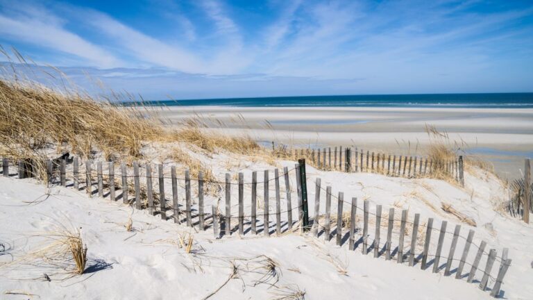 Sand dunes and beach fencing along the Cape Cod shoreline