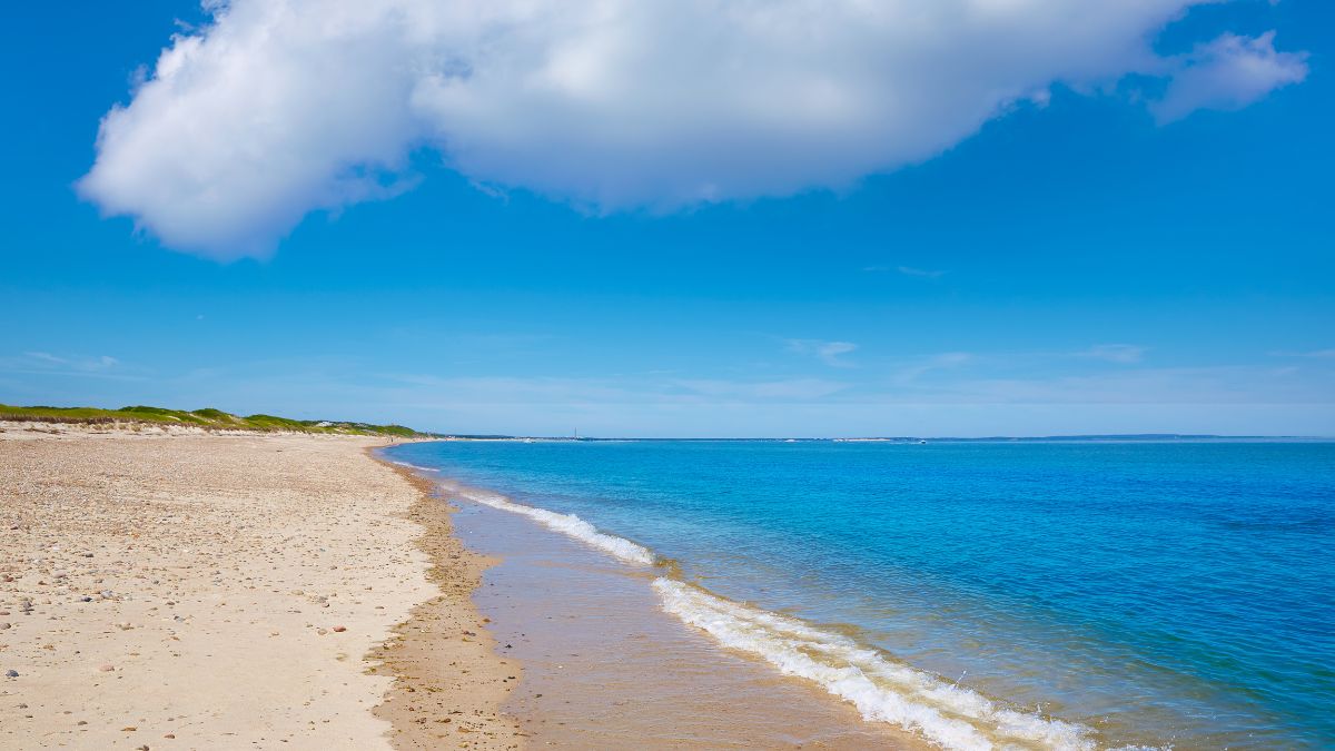 Beach and dunes along Cape Cod Bay at Sandy Neck Beach Park in West Barnstable