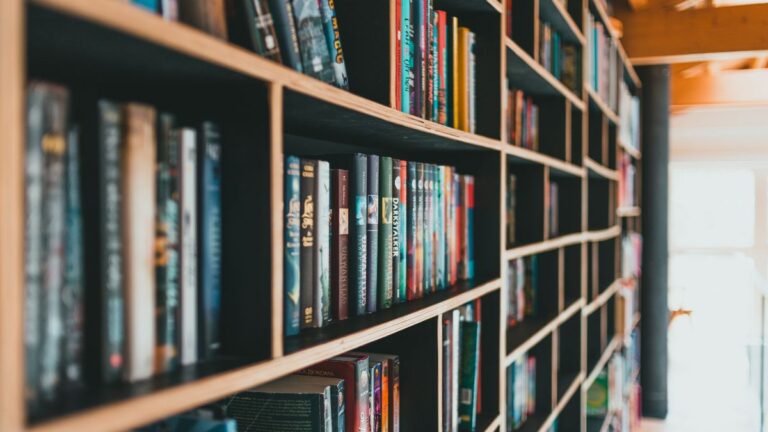 Book Store - Library in Harwich - Lower Cape Cod Rainy Day activities