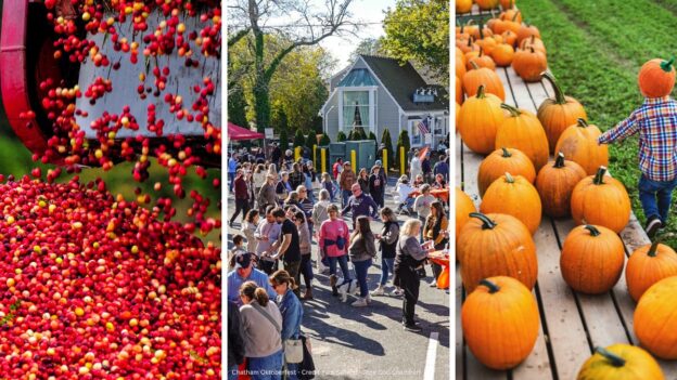 collage with three photos of cranberries, Chatham Oktoverfest and pumpkins