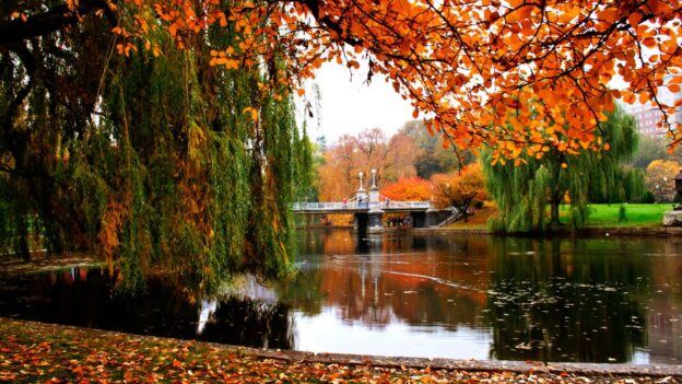 Autumn foliage besides a Boston Public Garden pond