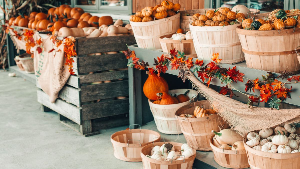 Pumpkins and gourds displayed at an outdoor market in Newton, MA
