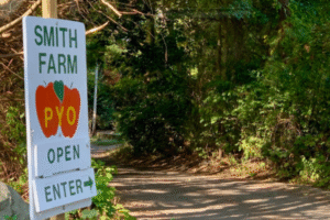 C.N.-Smith-Farm-in-East-Bridgewater-Apple-Picking sign