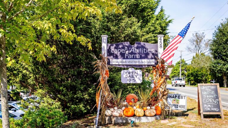 Cape Abilities Farm in Dennis, Massachusetts sign decorated for fall