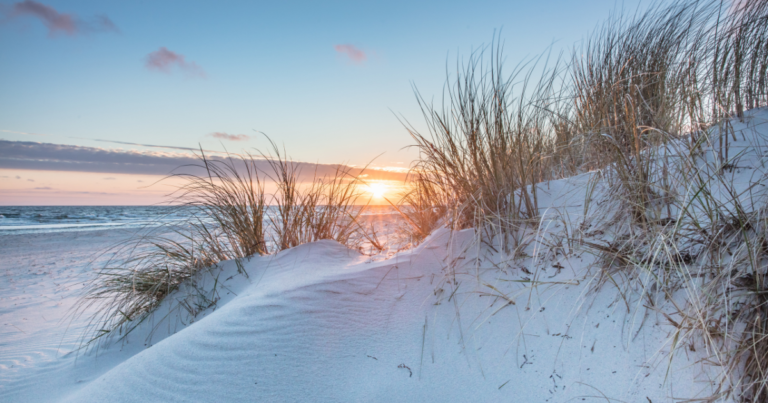 Snowy Beach on Cape Cod