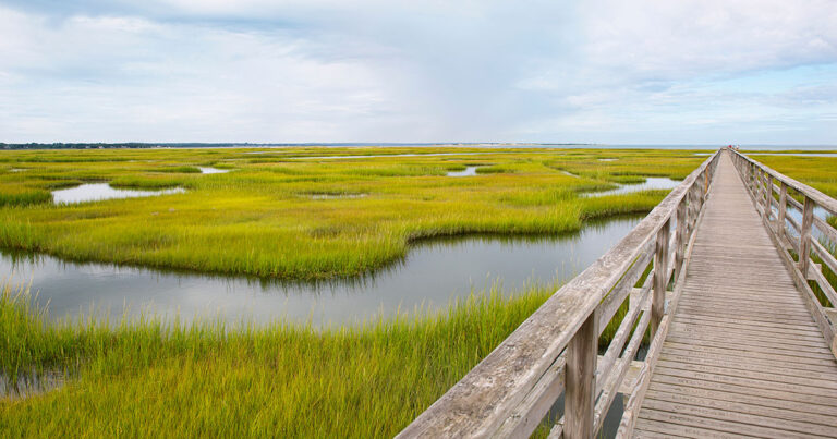 Boardwalk on Cape Cod
