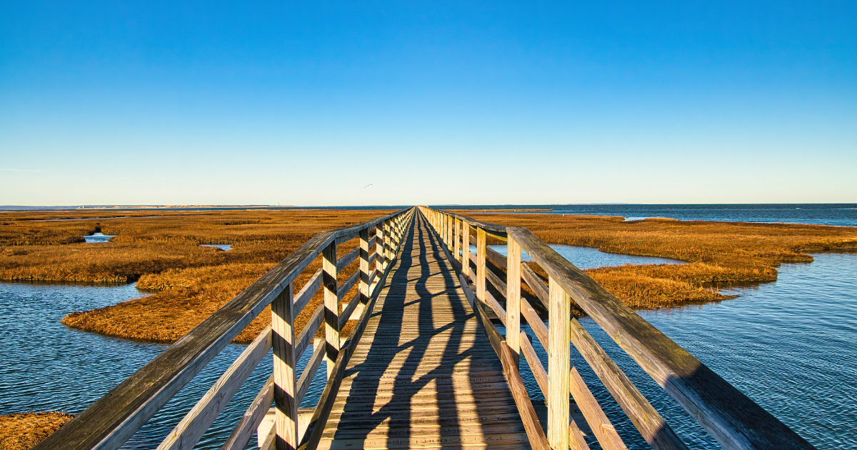 Mid Cape boardwalk and marsh walking trails: Grey's Beach in Yarmouth Port