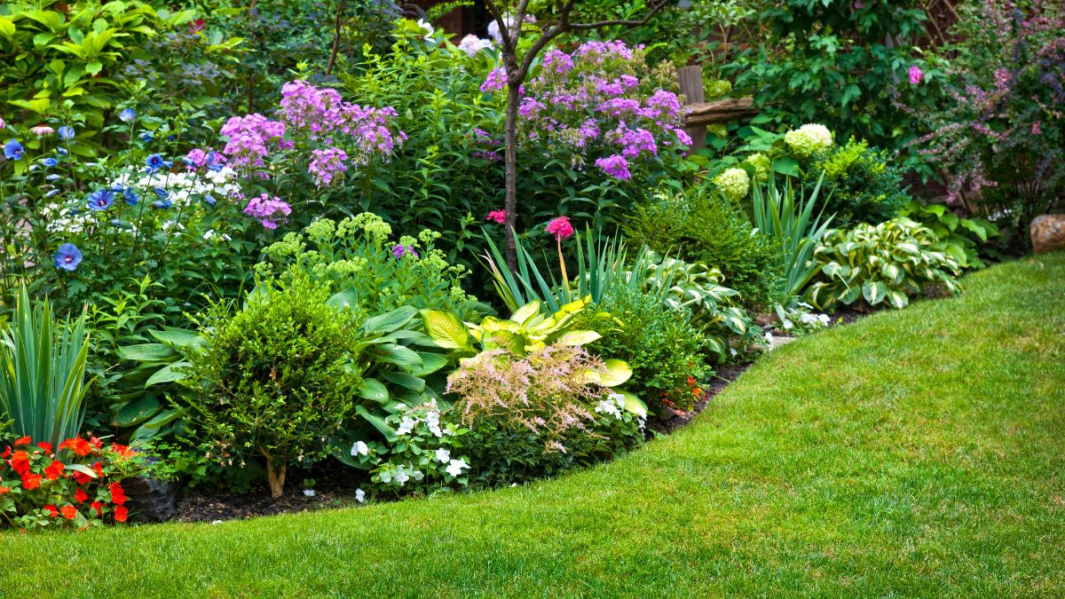 landscaped backyard with lawn and garden beds Massachusetts