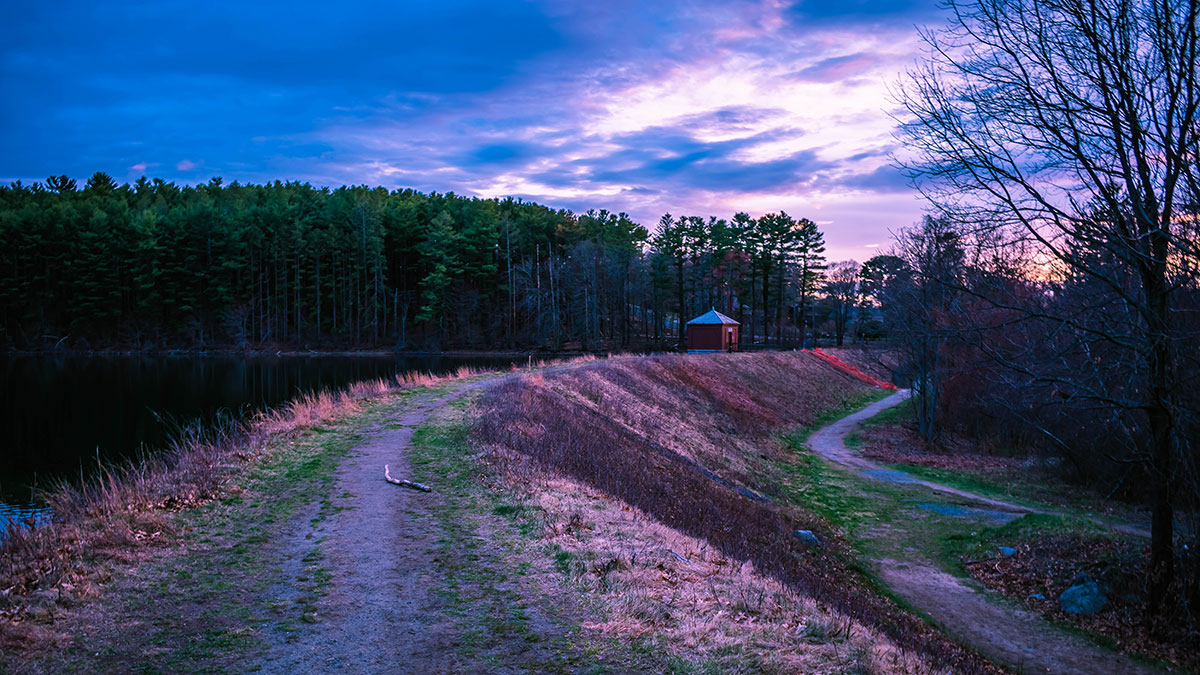 Middlesex Fells Reservation wooded trail near Boston