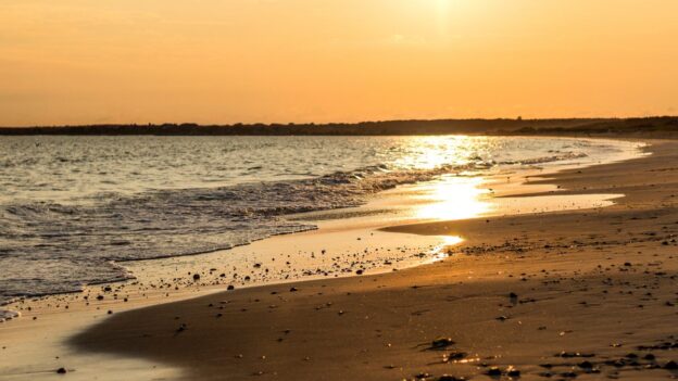 Sandy shoreline and ocean surf at Horseneck Beach State Reservation in Westport, Massachusetts