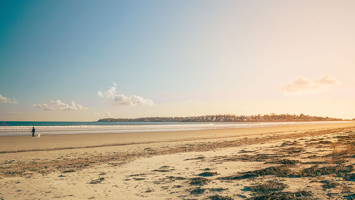 Wide sandy shoreline at Nahant Beach in Massachusetts